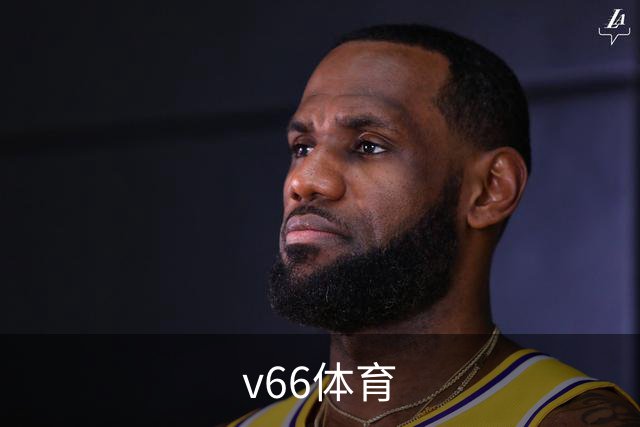v66体育公司简介展示图